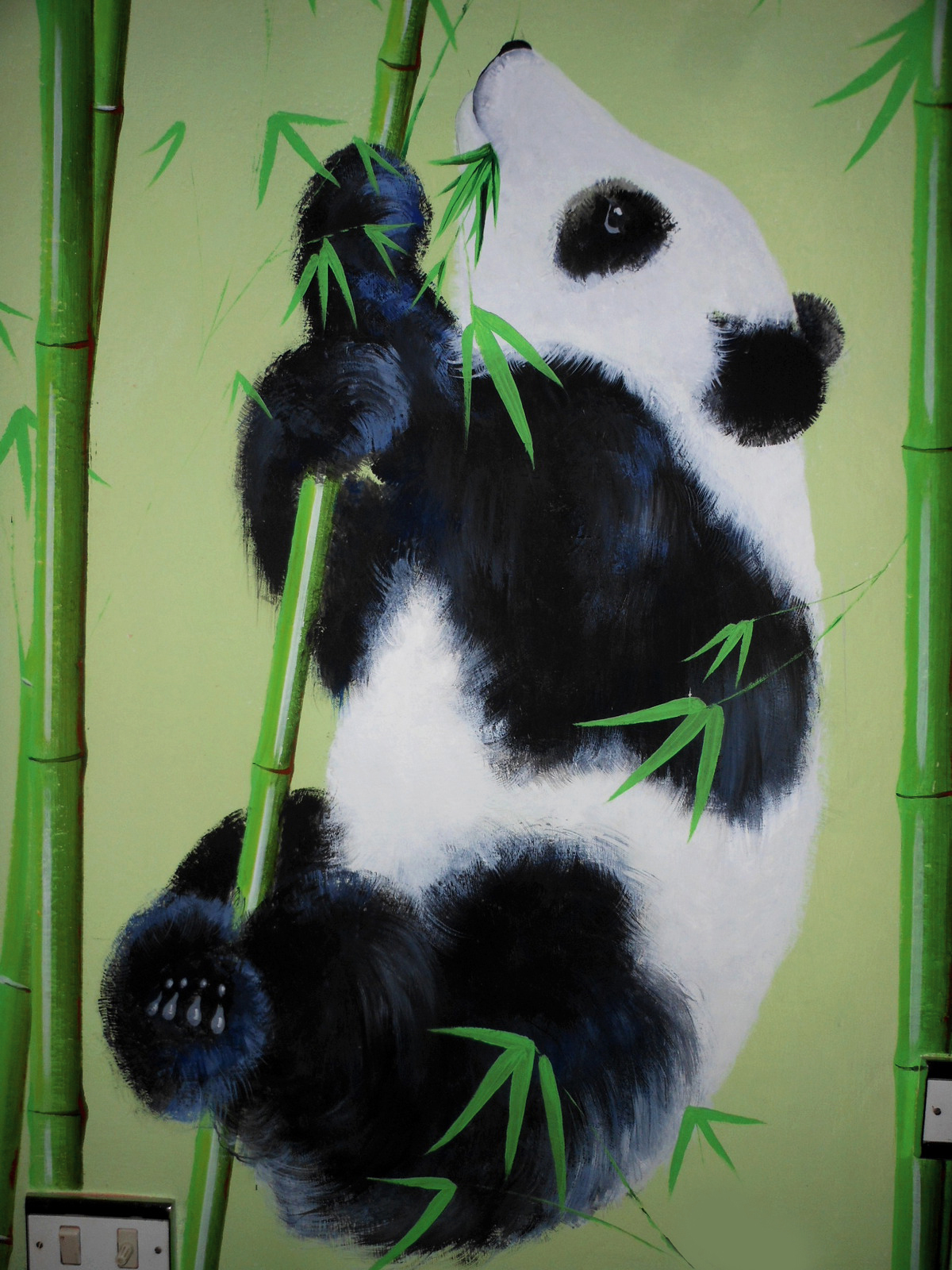 Trompe-l'oeil-Panda-con-Bamboo-Muro-Dipinto-acrilico-Bianco-Verde-Nero-Decorazione-Parete-interni-Cameretta-260x350cm